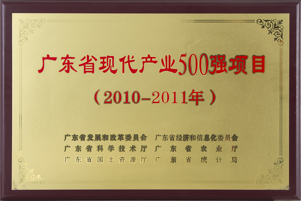 2011年广东省现代500强产业项目